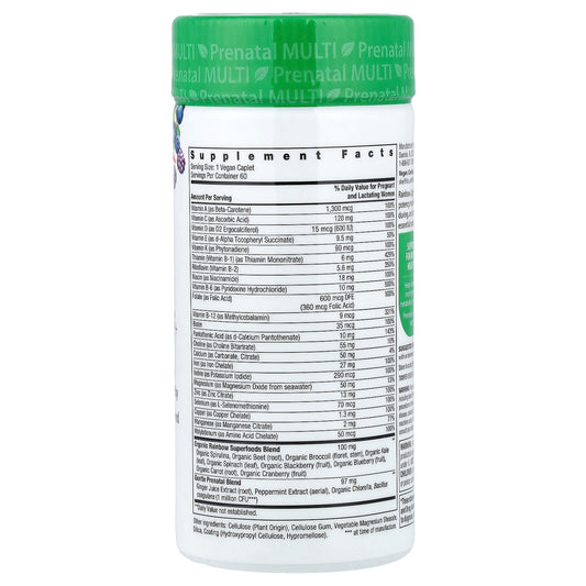 Rainbow Light, Antenatal One®+ Real Food Nutrients, 60 Vegan Caplets
