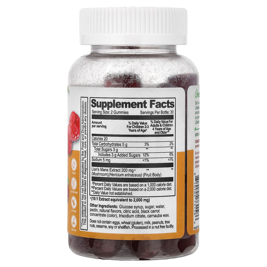 Lifeable, Kids, Lion's Mane Mushroom Gummies, Berry, 60 Gummies, (100 mg per Gummy)
