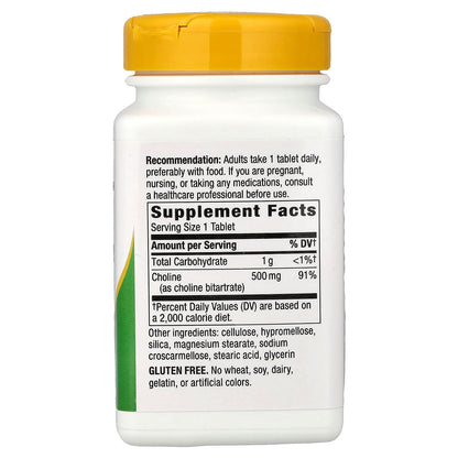 Choline 500 mg 100 Vegan Tabs Brain Health