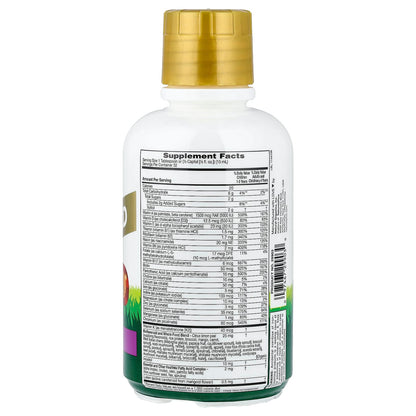 NaturesPlus, Animal Parade® Gold, Multivitamin Liquid, Tropical Berry, 16 fl oz (480 ml)