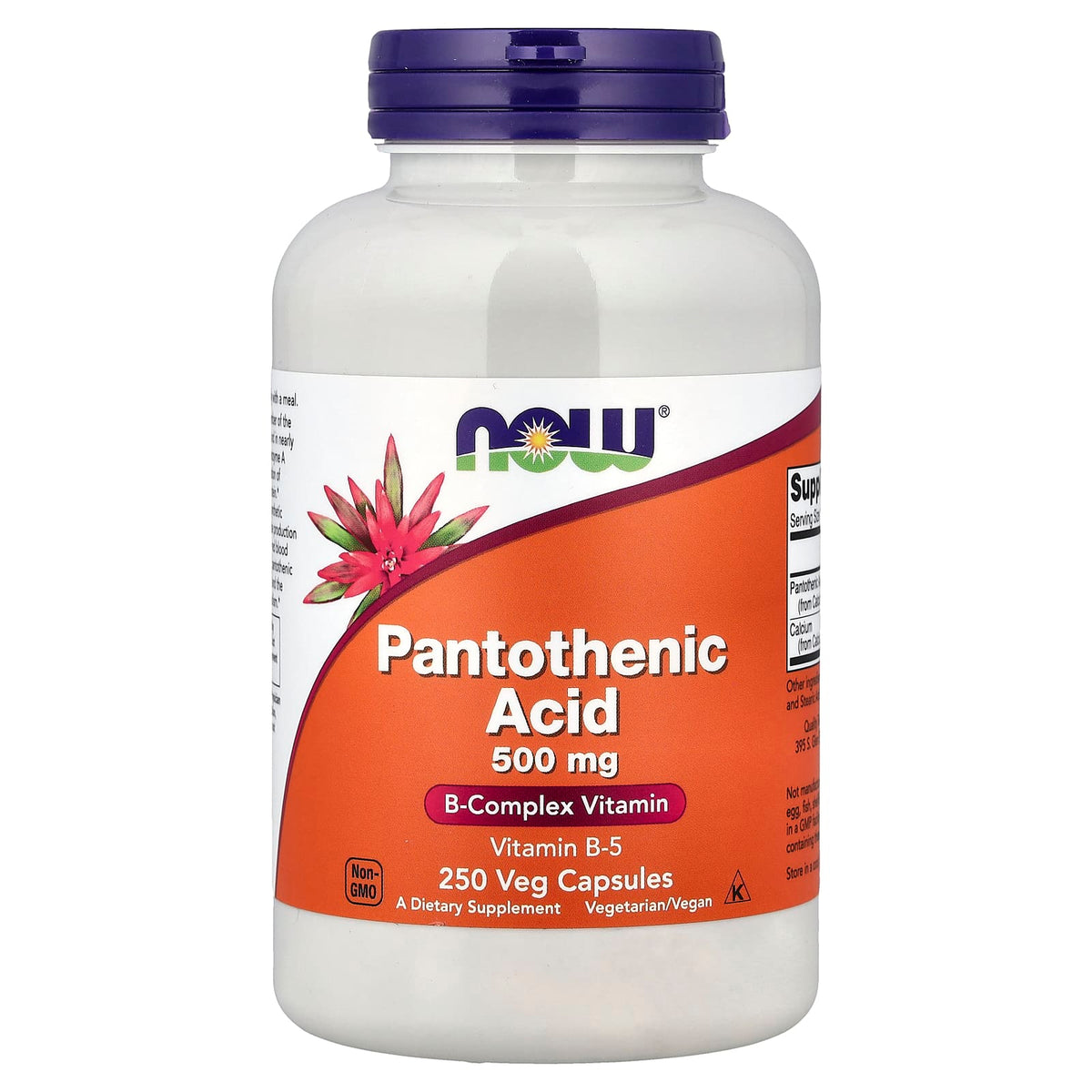 NOW Foods Pantothenic Acid 250 Caps