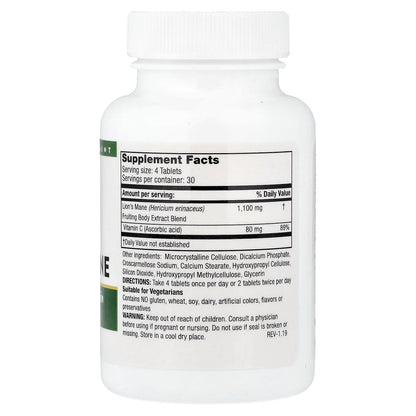 Mushroom Wisdom, Super Lion's Mane, 120 Vegetarian Tablets