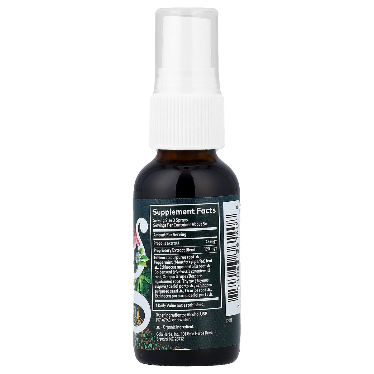 Gaia Herbs, Echinacea Goldenseal Propolis, Throat Spray, 1 fl oz (30 ml)