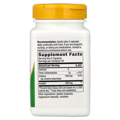 Nature's Way, Choline & Inositol, 500 mg, 100 Capsules
