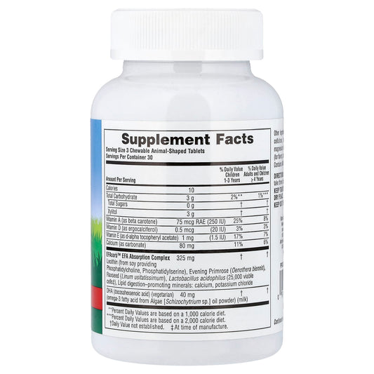 NaturesPlus, Animal Parade®, DHA Kids, Children's Chewable Omega-3 Supplement, Cherry, 90 Animal-Shaped Tablets