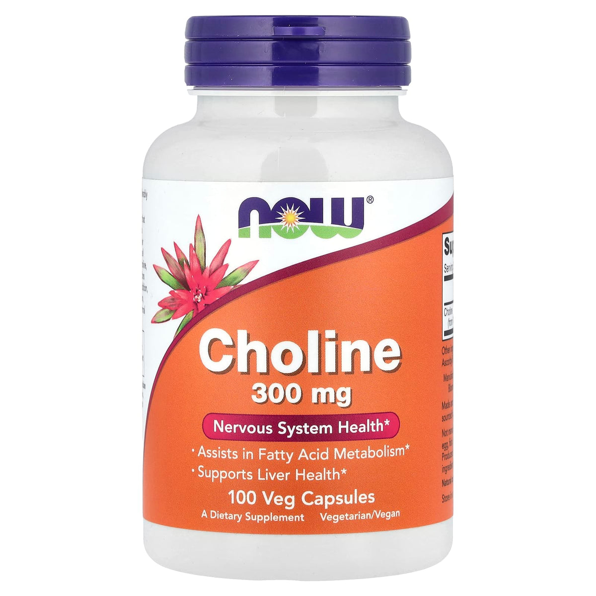 NOW Foods Choline 300 mg 100 Veg Caps